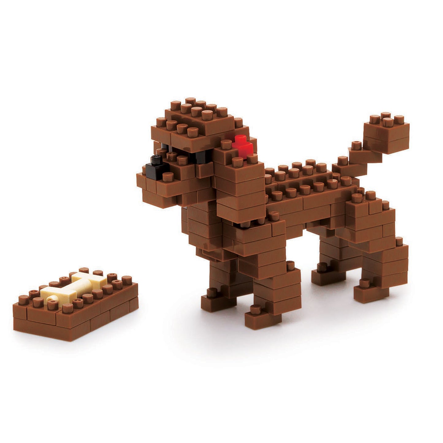 NBC-060 - Toy-Pudel