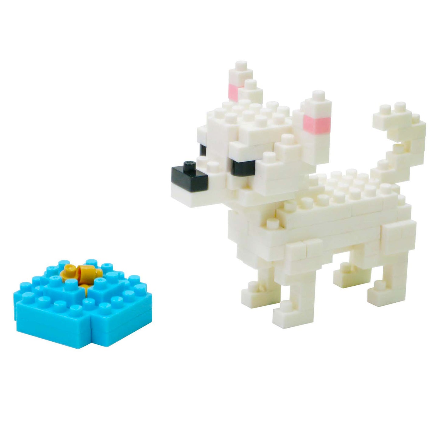 NBC-121 - Chihuahua