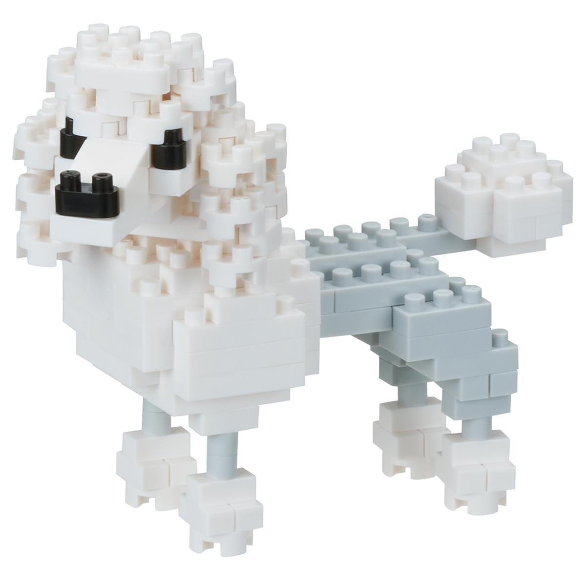 NBC-262 - Caniche