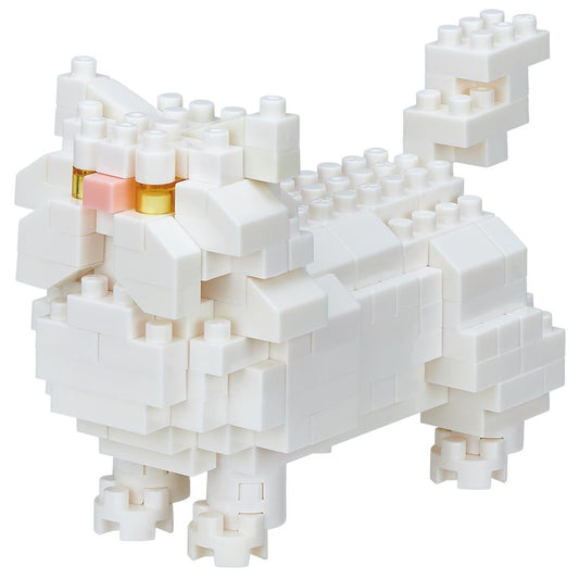 NBC-267 - Persian cat