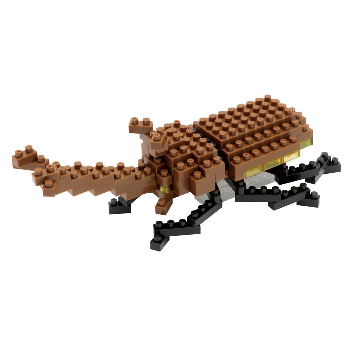 IST-003 - Scarabée rhinocéros japonais