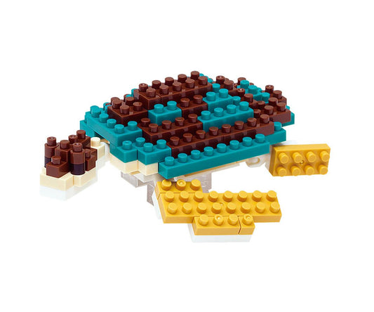 NBC-081 - Tortue verte