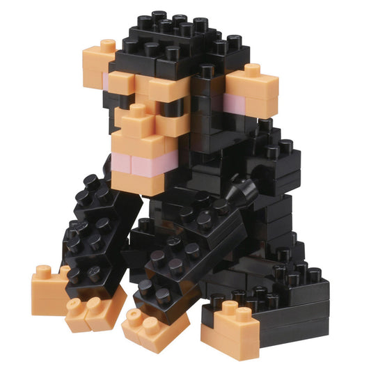 NBC-195 - Chimpanzé