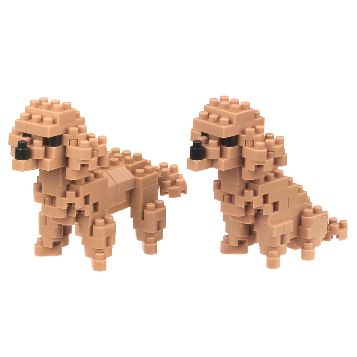 NBC-252 - Toy-Pudel