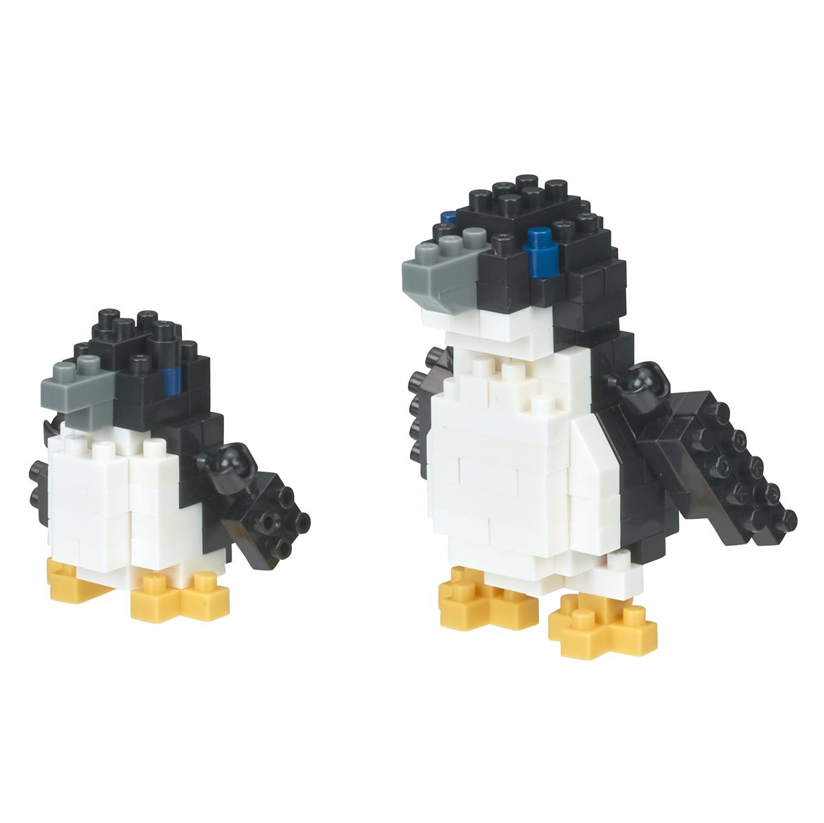 NBC-310 - Little penguins